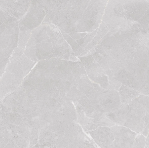 WALTER LIGHT GREY Matt Tiles (600x600mm)
