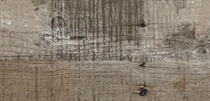 MATT 200×1200 MM FLOOR TILES – PREMIUM WALL & FLOOR TILE COLLECTION